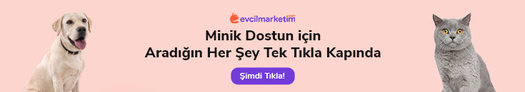 Evcilmarketim.com